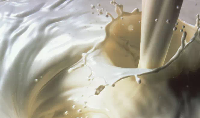 świeże mleko